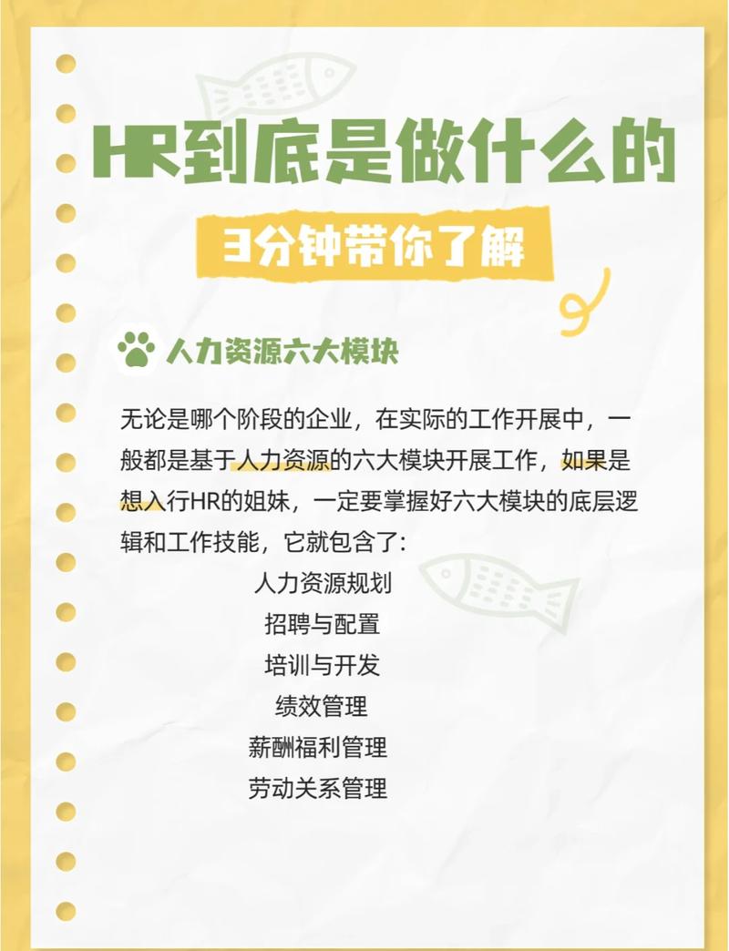 真实的招聘市场:HR岗位到底认什么?