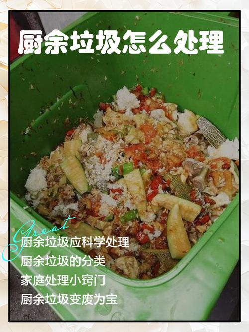 1. 厨余垃圾处理，光扔出去是不够的