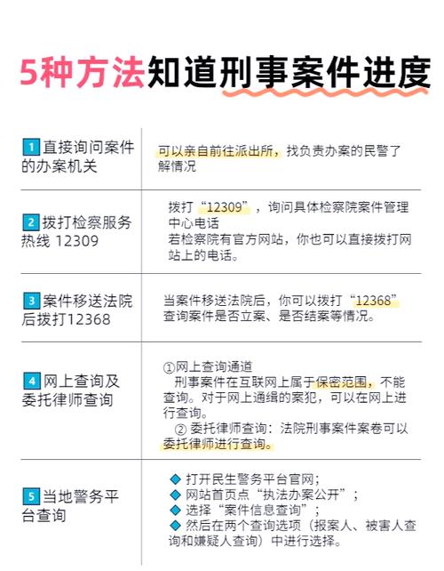 武汉刑事律师事务所公开案例查询页面