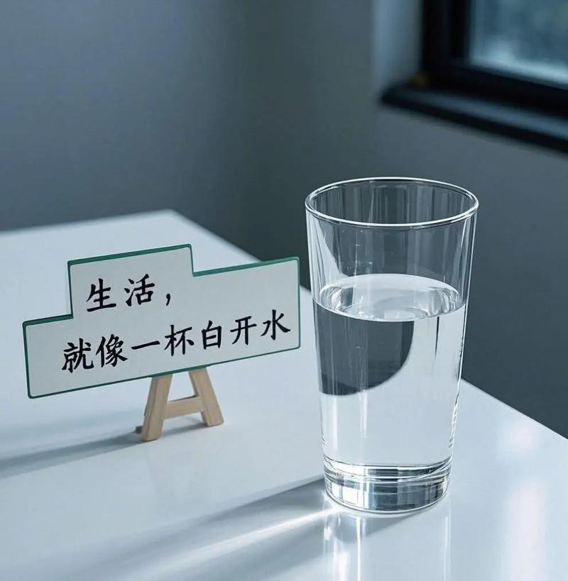 平淡诗:一场伪装成白开水的烈酒