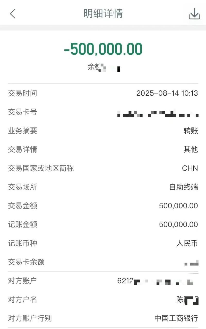 公司银行账户大额资金转出记录
