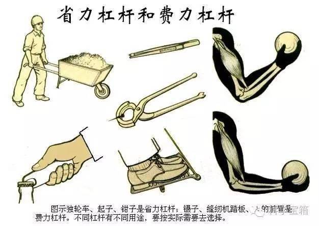 一个人搬沙发，靠的是杠杆仿真