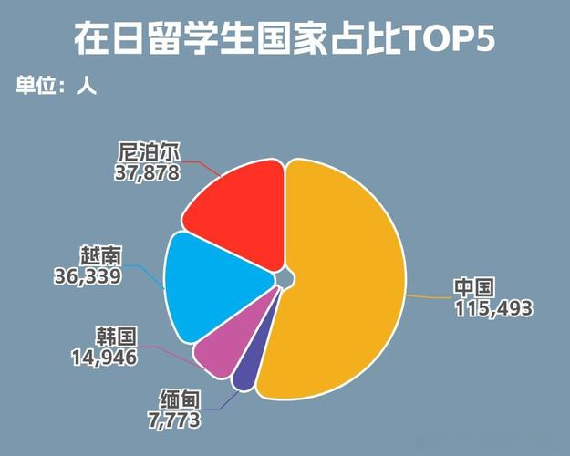 留学生年度开支饼图