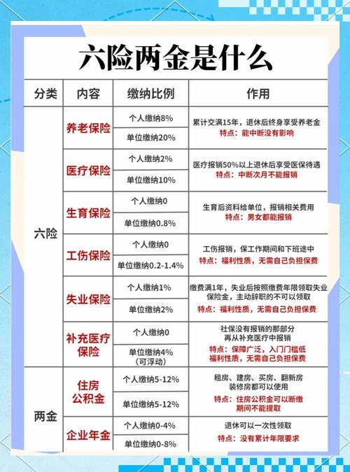 中国两类养老保险分类结构说明图
