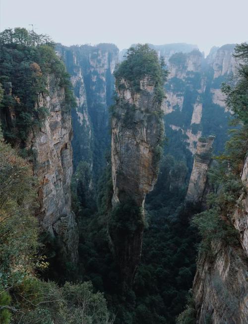 张家界森林公园袁家界奇峰石林景观