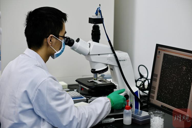 基因编辑技术实验室操作特写