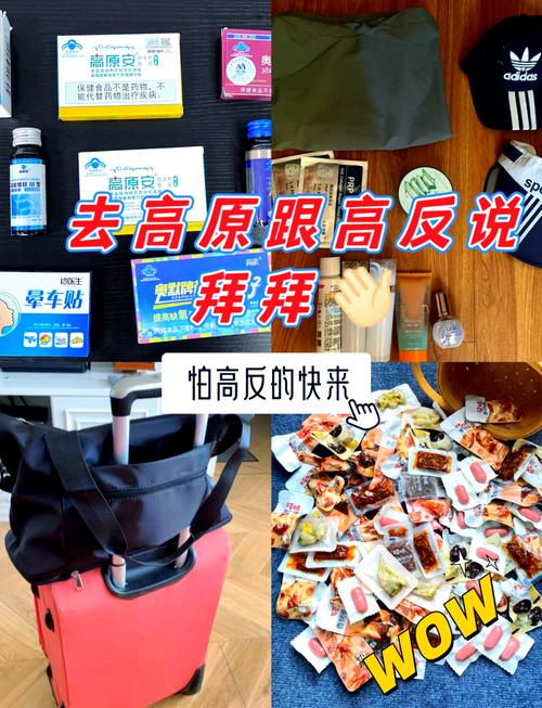 高原出行出发前准备手写清单