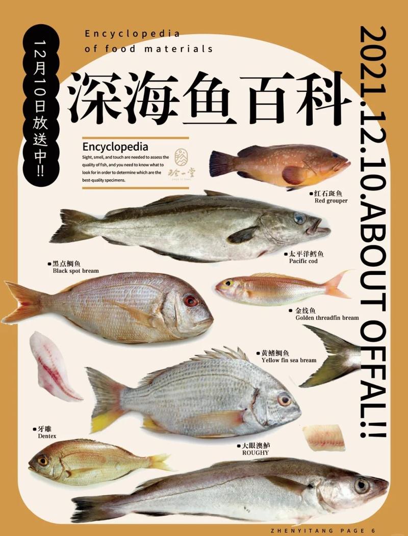 吃深海鱼,这些小细节要记着