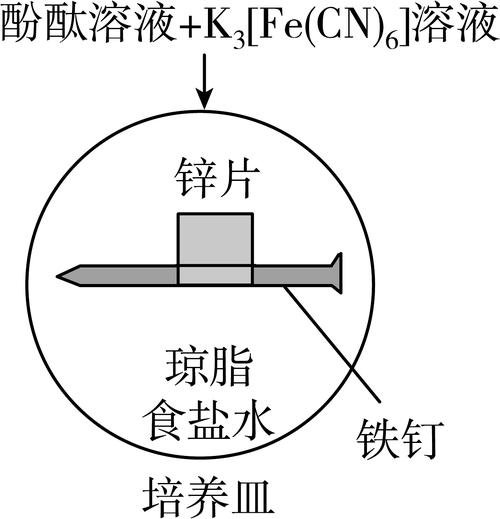 铁钉在潮湿空气中的电化学腐蚀示意图