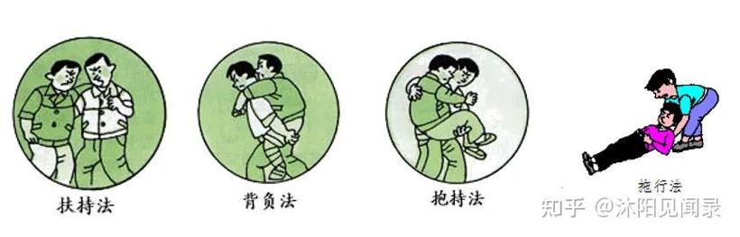 宠物骨折搬运正确姿势示意图