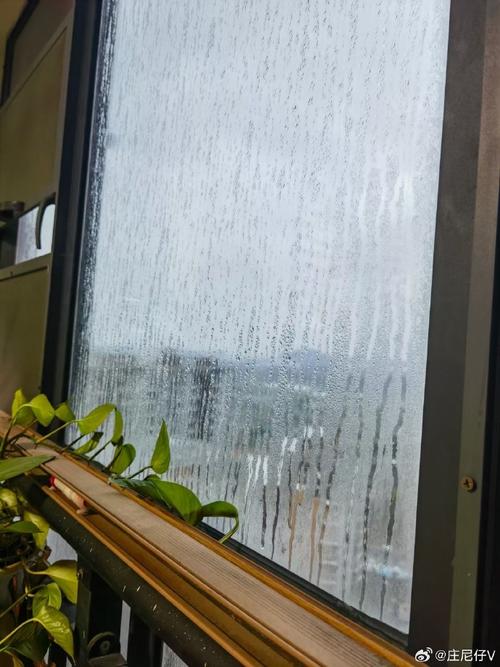 沿海城市回南天墙面挂珠日常场景