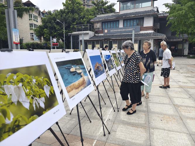 社区户外公益摄影作品展览现场