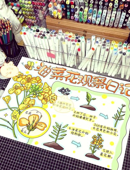 学生手绘的春天观察作业手账
