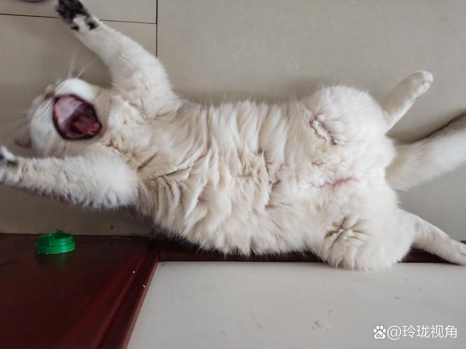 成像端密封：热胀差害死猫