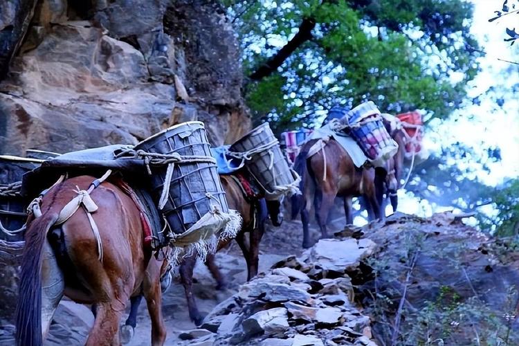 茶马古道马帮翻越横断山脉驮运物资历史照片