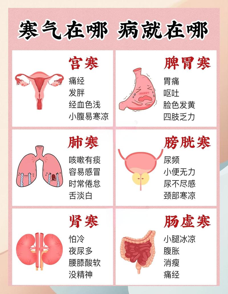 冬季人体易受凉部位示意图