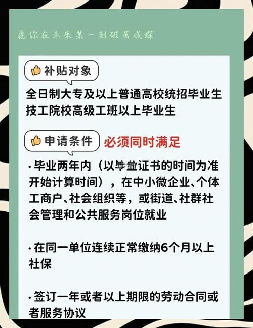 全国高校毕业生就业补贴申请入口截图