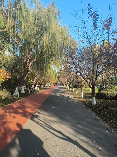 餐后散步公园步道实景图