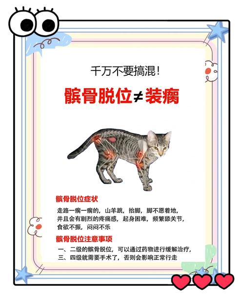 猫髌骨脱位不同等级步态对比图