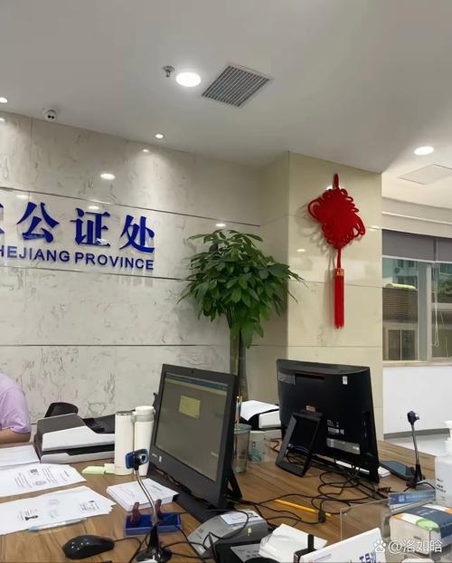 公证处婚前财产公证填写场景图