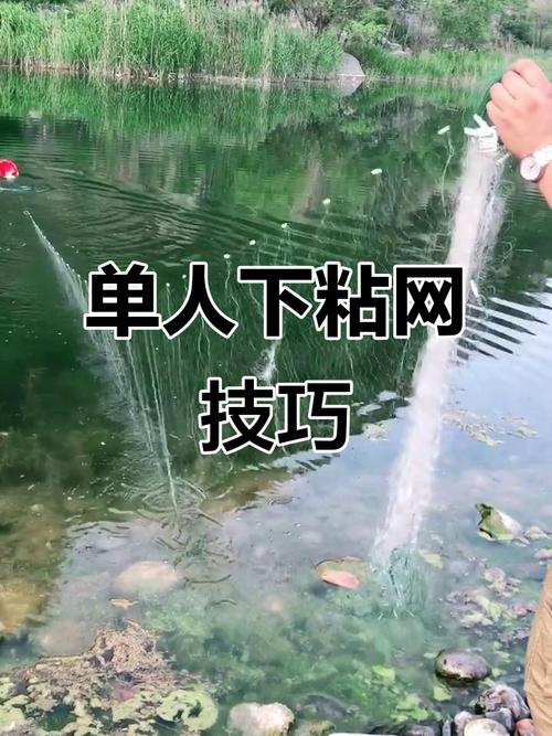🕸️ 粘网怎么办？物理防粘比刷油靠谱