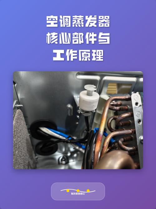 我现在上课再也不先讲