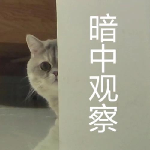 🛠️ 验收,盯紧这四处