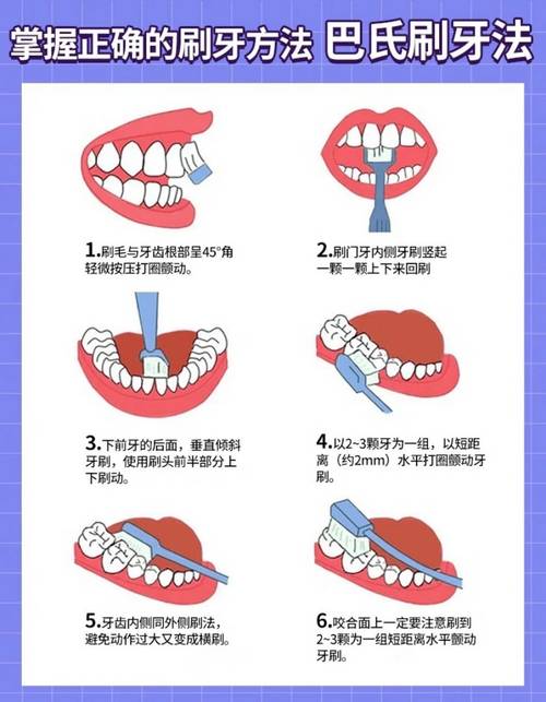 大小合适牙刷刷头口腔使用示意图