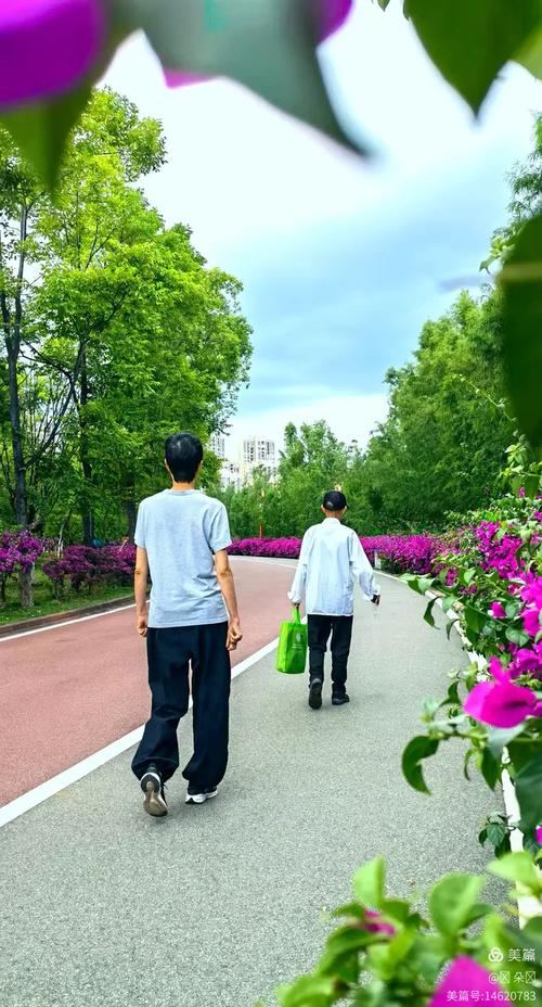 普通居民小区步道上结伴慢走的中老年人