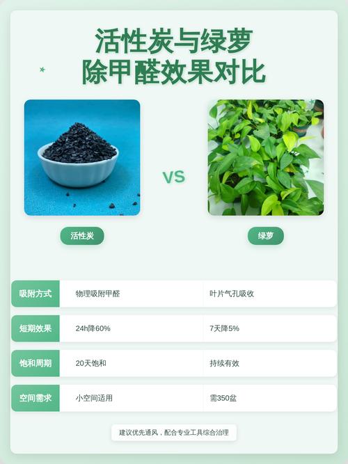 室内摆放绿萝与活性炭除甲醛误区