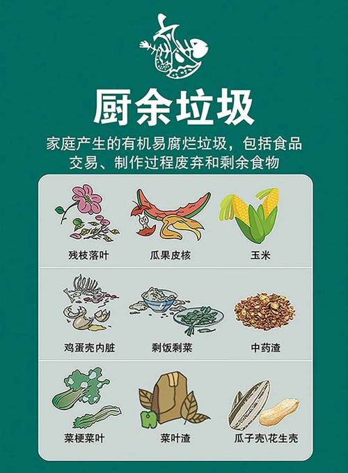 厨房台面上分类盛放的新鲜厨余垃圾