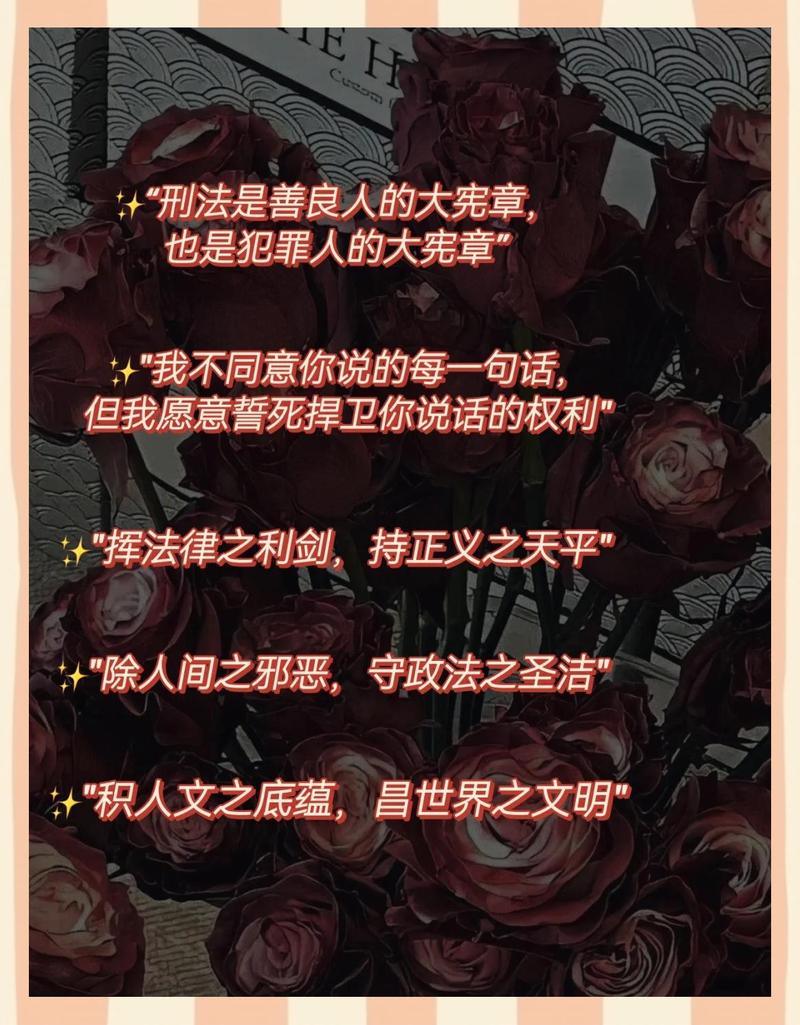 法律在这儿撑的是那个理字,但前提是你得拿出“理”来