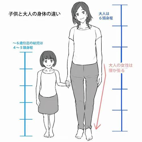 成年人与5岁儿童站立视线高度对比示意图