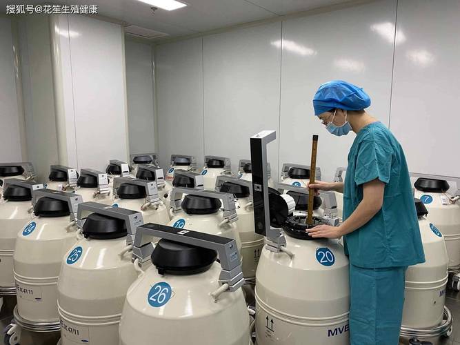 离婚抚养权新战场:冷冻胚胎引发的生育权争夺-武汉离婚律师