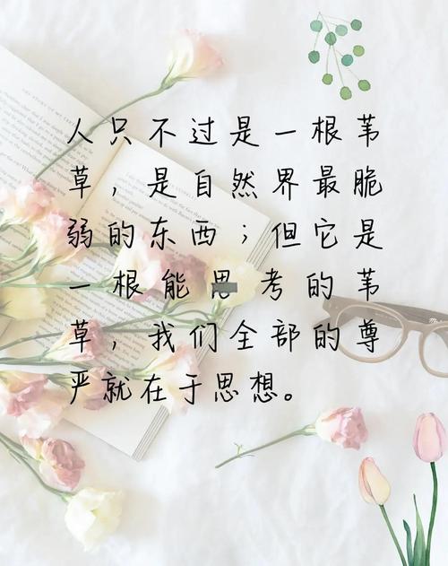 一根芦苇，能撑起多少种人生？