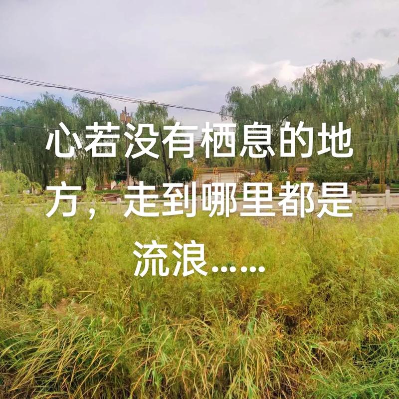 这玩意儿会不会让人更孤独?