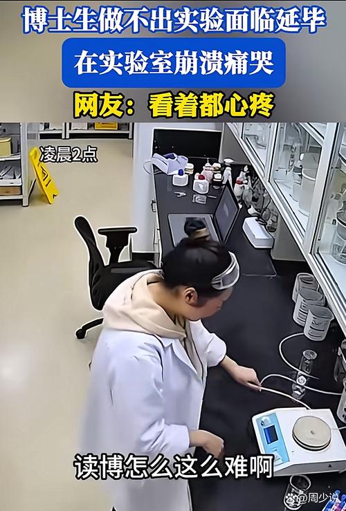 博士生深夜实验室崩溃瞬间