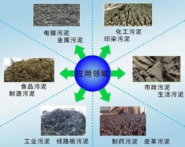 污水处理厂不同污泥样本对比