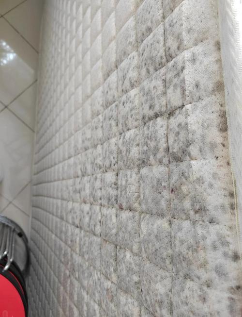 南方梅雨季节发霉潮湿床垫实拍
