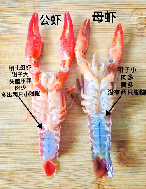三亚海鲜市场选虾技巧