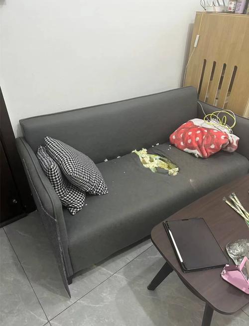 杭州老出租屋靠窗棉麻沙发灰尘实拍