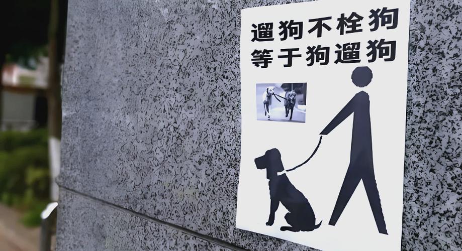 小区未牵绳宠物伤人责任划分场景图
