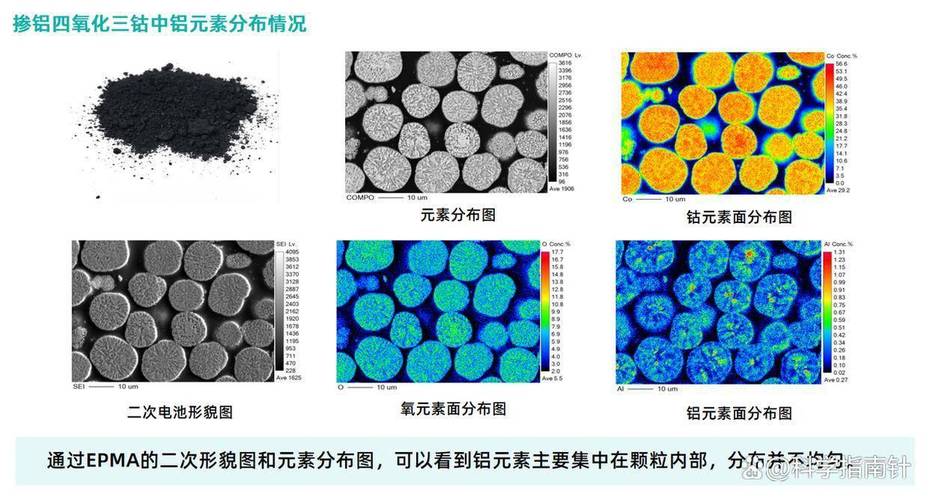 单晶高温合金枝晶间元素偏析EPMA面分布图