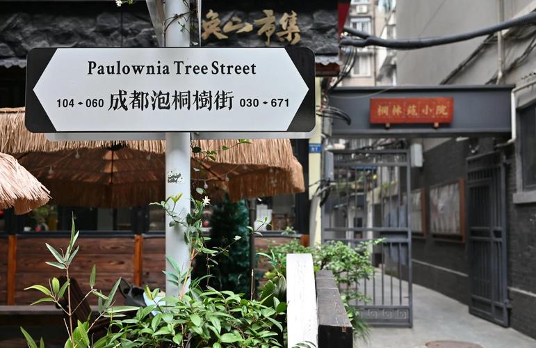 成都少城泡桐树街的文艺小店，门口有绿植和手写黑板