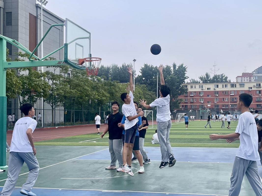 中学体育课户外教学场景图
