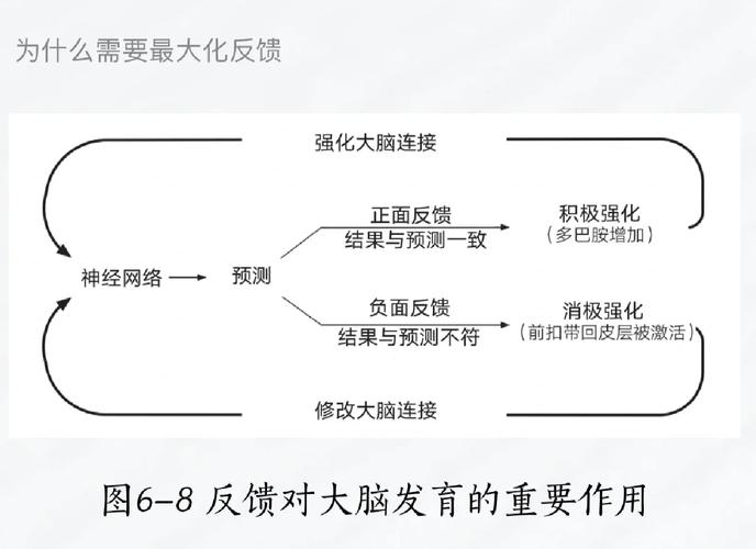 正强化负强化正向反馈负向反馈区别思维导图