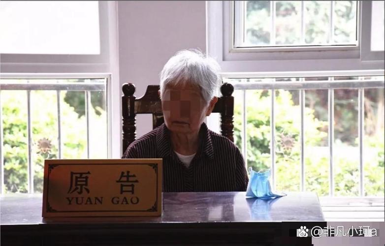 法庭上老人与子女对簿公堂的背影