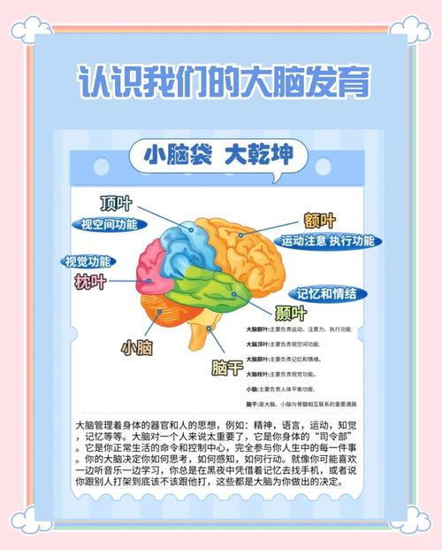 🧠 其实你只需要换个脑子：从“作品”到“过程”