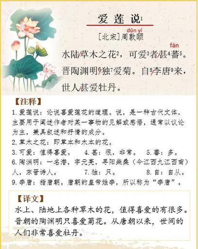 四、为什么莲能当“圣物”当了三千年?
