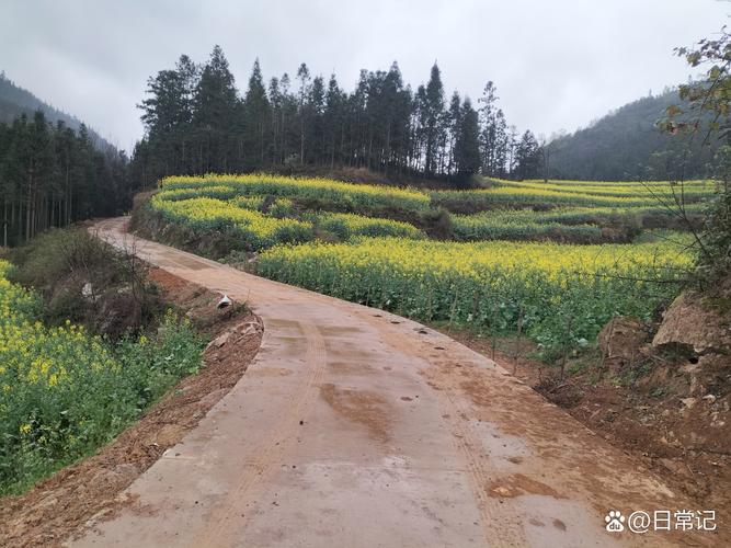 城市周边丘陵土路徒步岔路口实景